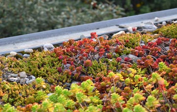 the cost of Pierowall green roof installation
