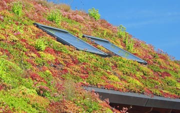 Pierowall living roof systems