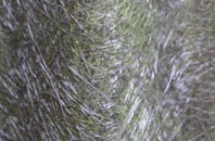 Pierowall fibreglass roof work